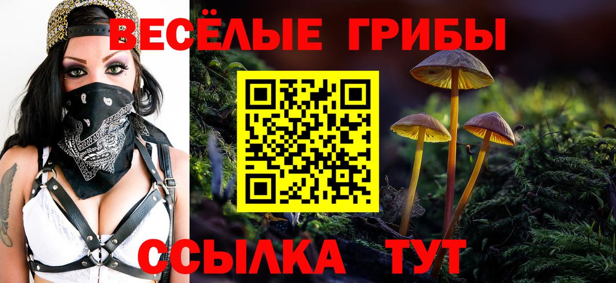 Галлюциногенные грибы Psilocybe Кувандык
